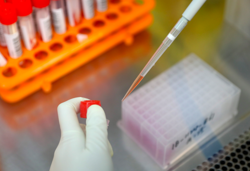 1662686702490.png 68618bd9baa0beac4035f4afd7aff9b9.png