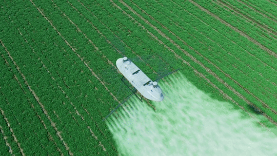 1750645477437.gif